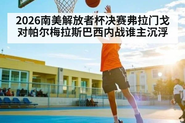 2026南美解放者杯决赛弗拉门戈对帕尔梅拉斯巴西内战谁主沉浮